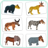 Anijumble-Djco-6-speelkaarten